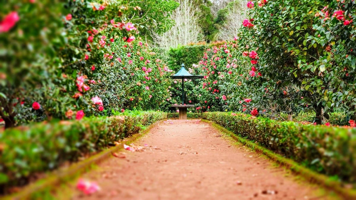 Landscaping